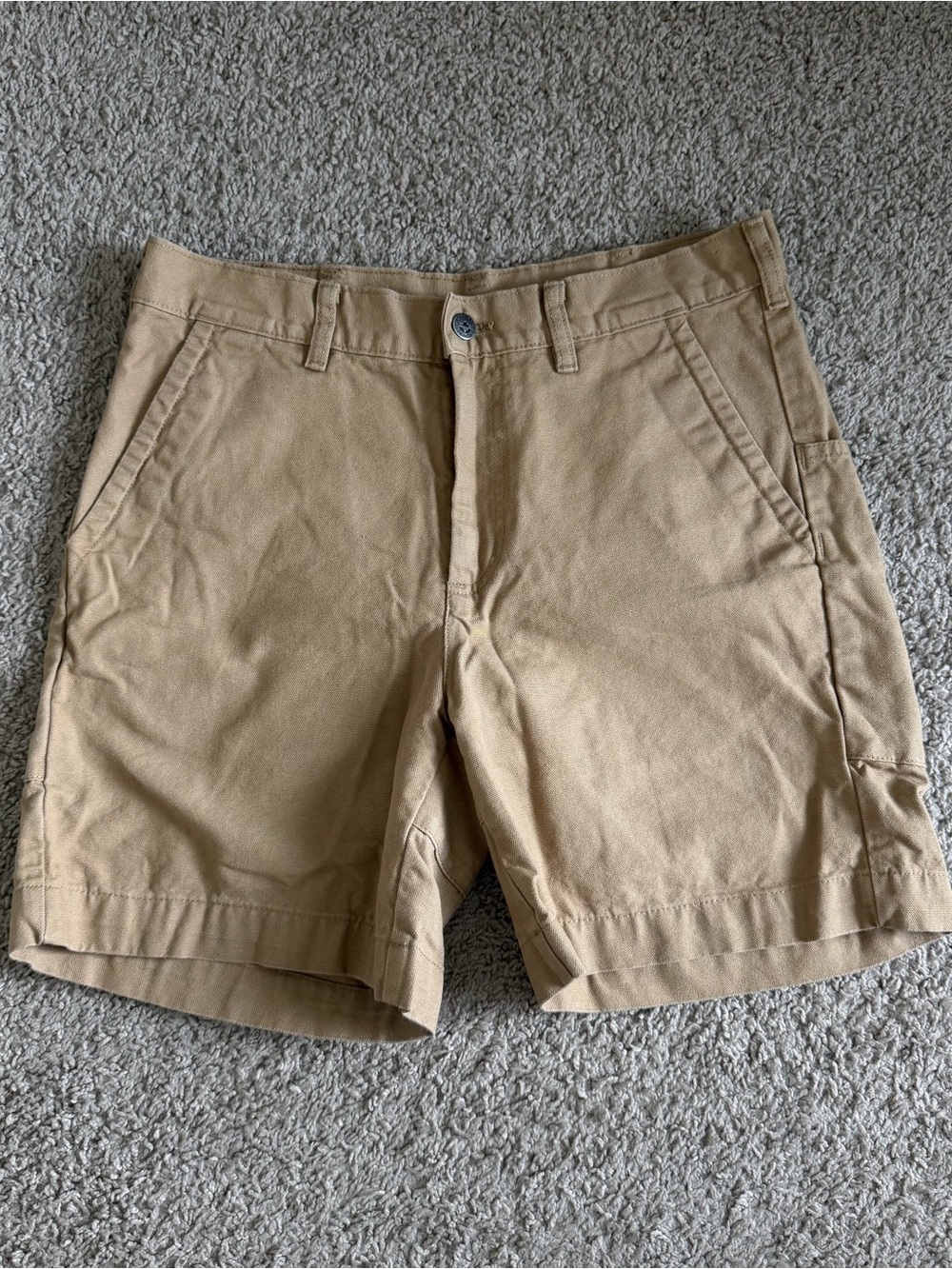 Patagonia 5 Pocket Outdoor Hiking Shorts